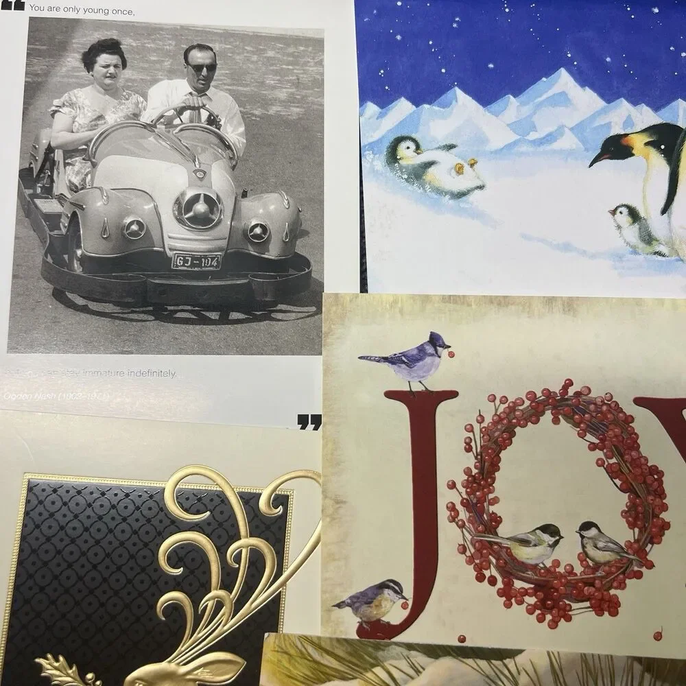 Lot 12 Assorted Greeting Cards with Envelopes Christmas Sympathy Floral NEW